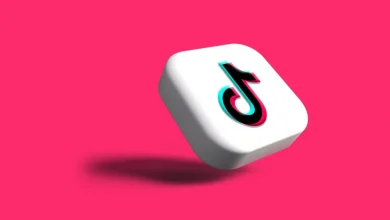 12-mind-blowing-tiktok-downloaders-that-will-transform-your-content-game-in-2025