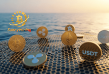from-volatility-to-victory:-sunny-mining-users-turn-market-swings-into-profit